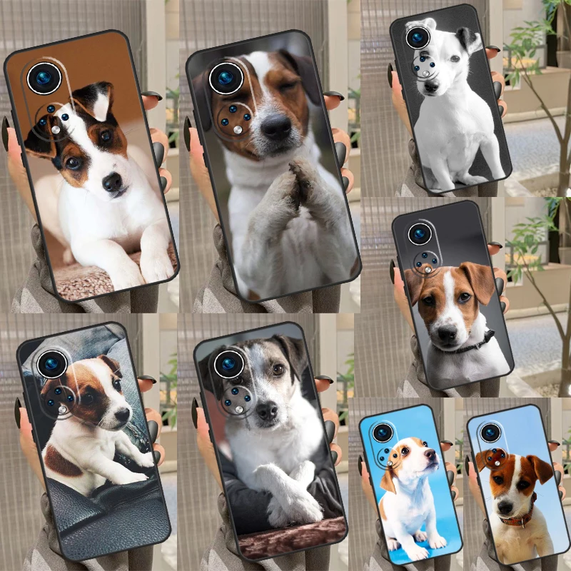 Jack Russell Terrie… - image