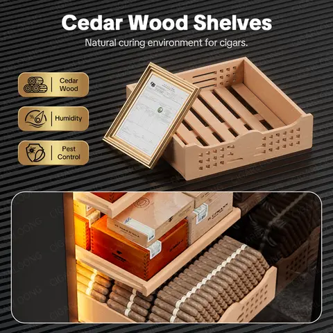 8 best sales सिगार कूलर - №1