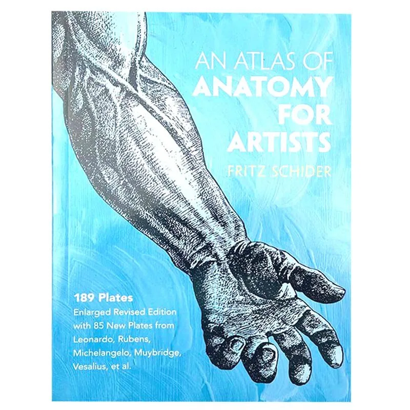 An Atlas of Anatomy for Artists Art Book Human Body Structure Sketch Drawing Reference Atlas By Fritz Schider English Version