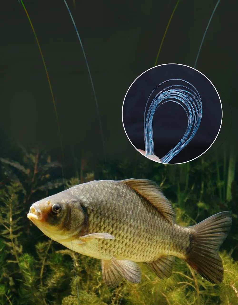 FTK 300/500 m Unsichtbare Angelschnur Speckle Fluorkohlenstoff-Beschichtungsschnur 0,14 mm-0,50 mm 4,13 LB-34,32 LB Superstarke gefleckte Schnur – Detail 8