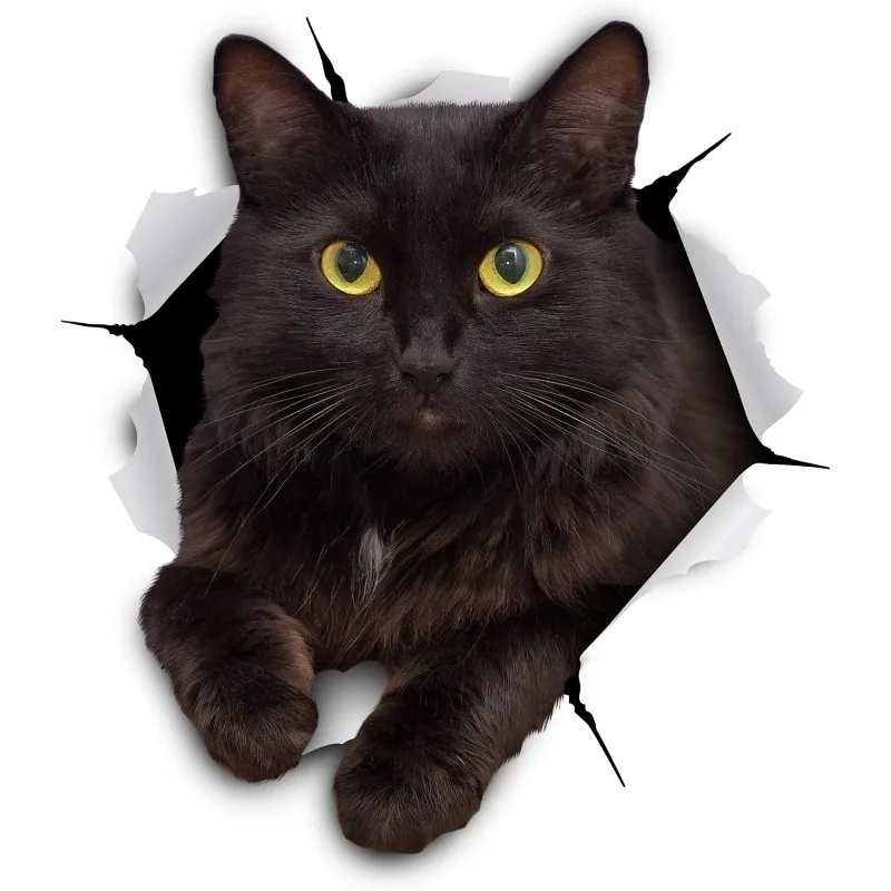 

3D наклейки с котом, наклейки с голодным черным котом для стены, наклейки для спальни, холодильника, туалета, украшения автомобиля, наклейка, 15 см, ПВХК