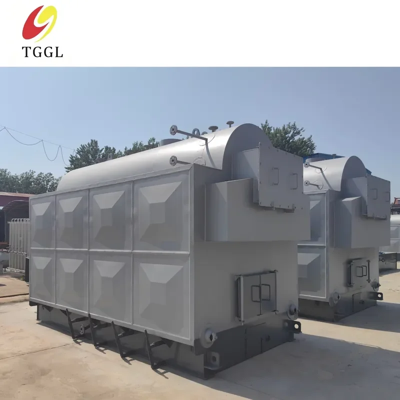 i DZH Series 100kg-500kg Horizontal Automatic Fixed Grate Solid Fuel Industrial High Efficiency Steam Generator CE Approved