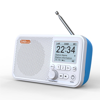 C10 DAB/DAB+ FM Digital Radio Rechargeable LED Speaker Portable Handsfree MP3 Music Player Broadcasting Radio
