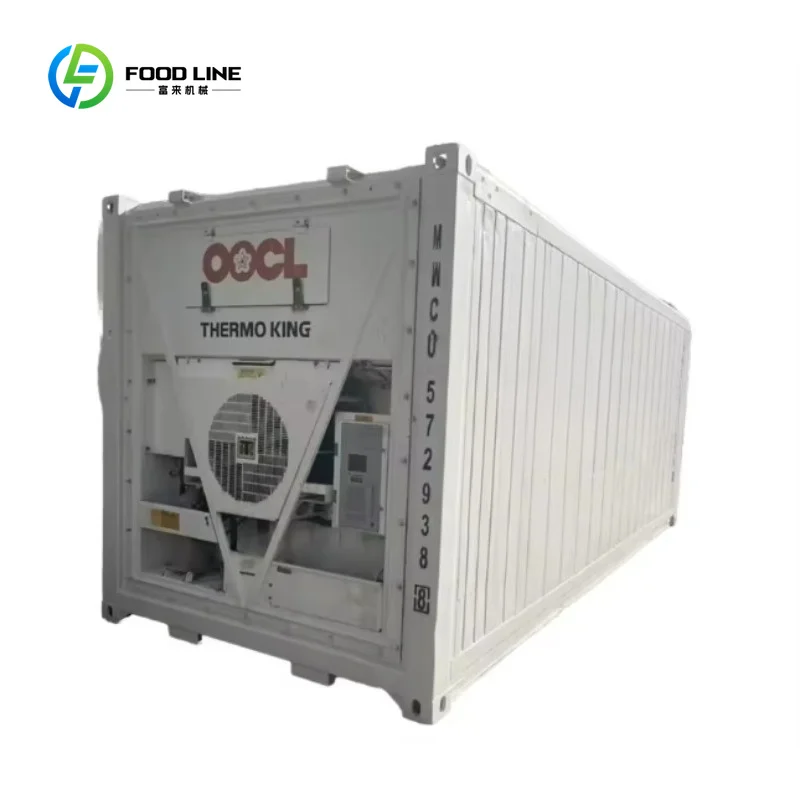 Customized Solar Refrigerated Freezer 20 Feet Used Reefer Container Cold Room With Cheap Price