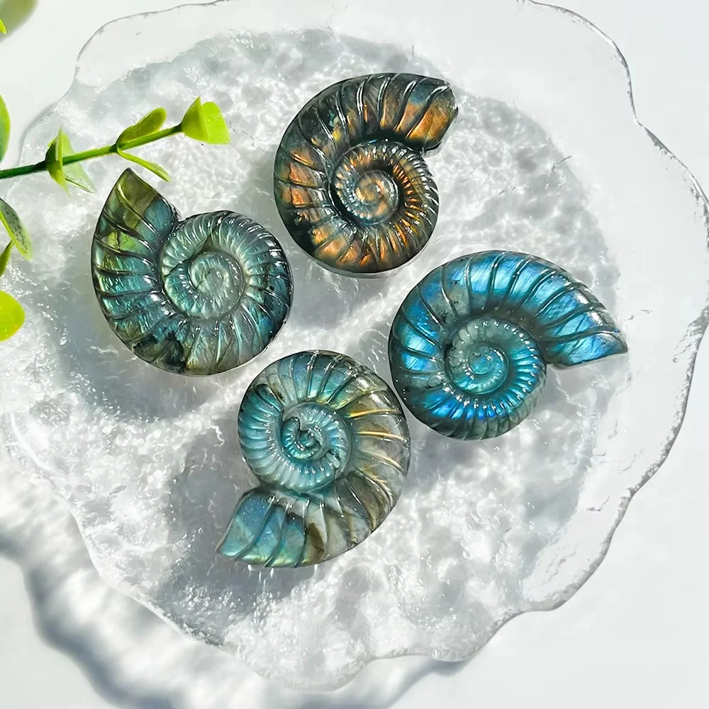 natural high quality hand carved creative crystal crafts labradorite ammonite fossil healing stone for decoration Flash Light Wh