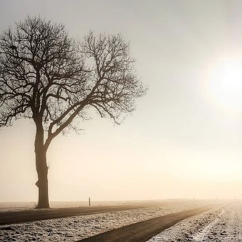 

4 шт. 1:10 RC универсальные шины для Tamiya HPI Kyosho Arrma 1/10 грузовики шины аксессуар радиоуправляемый автомобиль 12-14 мм адаптер пластиковая замена шин