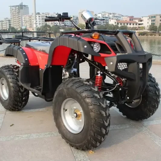 250cc Automatic 4-Stroke 1-Cylinder Air-Cooled ATV with Chain Drive Transmission System