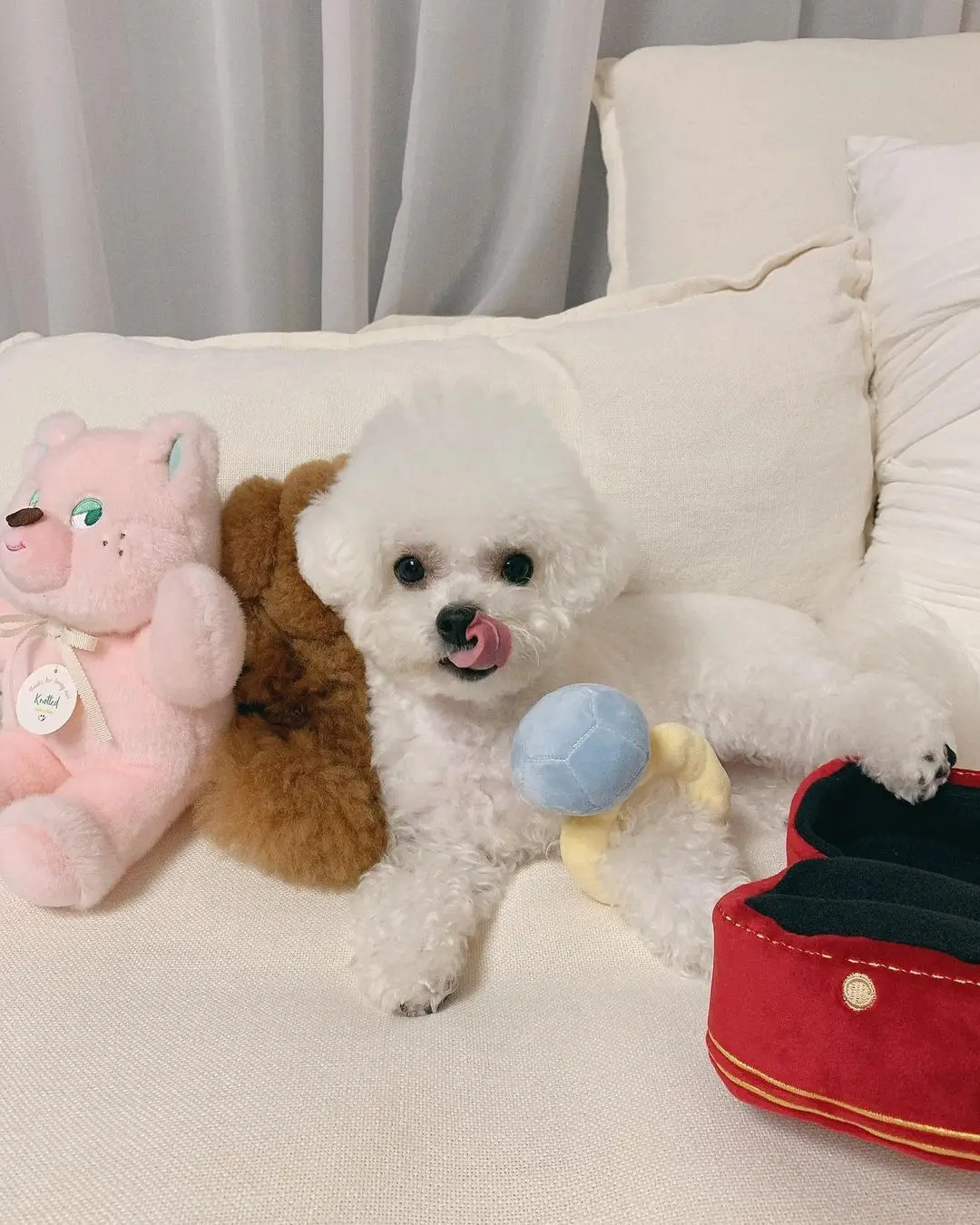 Creative Ring Box Plush Toy Love Diamond Ring Case Stuffed Pet Chew Toy Sounds Puppies Kids Cute Soft Dog Bitter Interested Toys