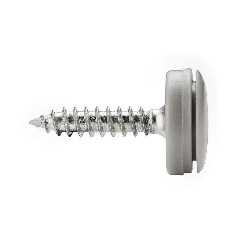 100PCS Mirror Nail Cap Screw Cap Phillips Screw Decorative Cover Plastic Cap