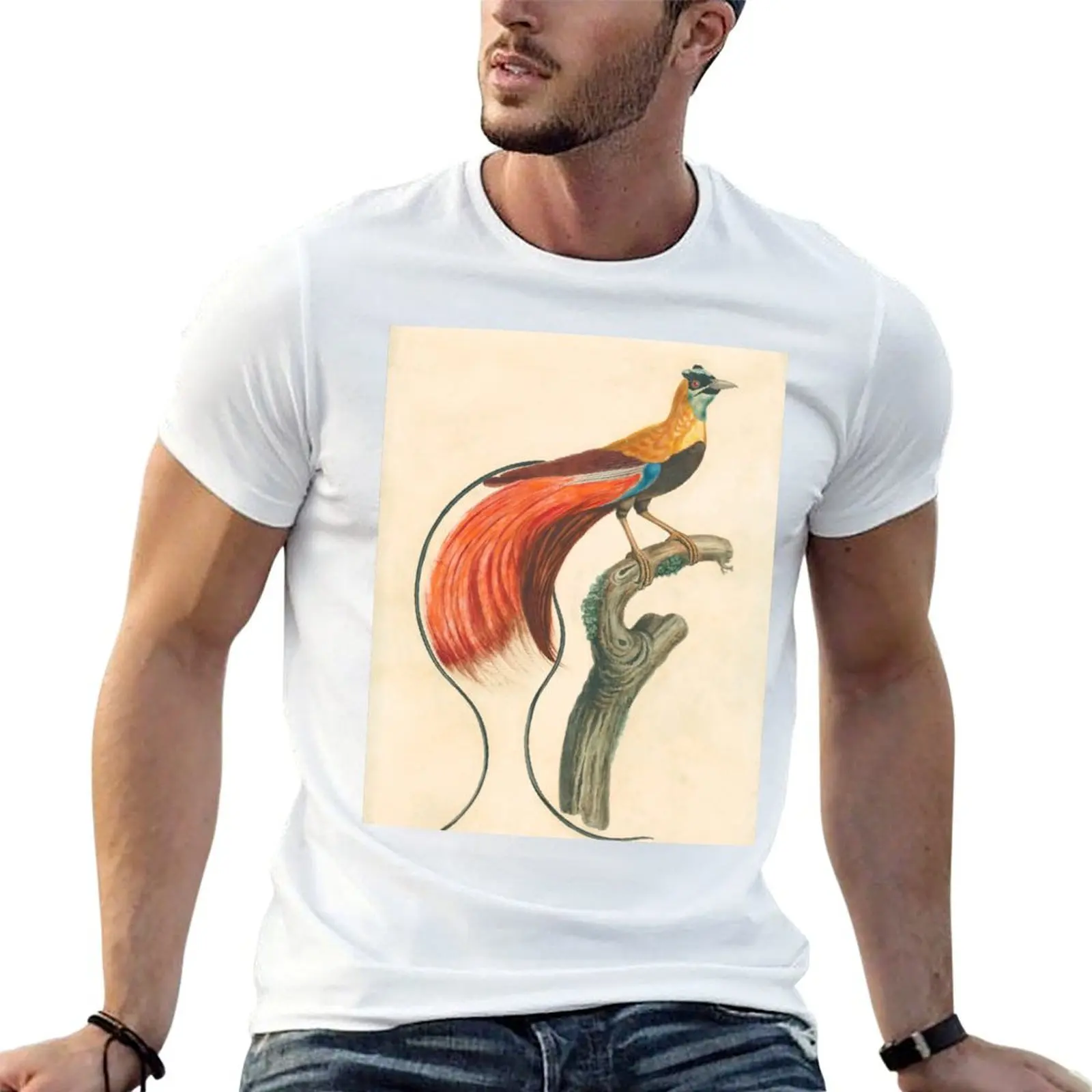 

Raggiana Bird of Paradise T-Shirt cotton t shirt pack t shirts for man pack white T-Shirt