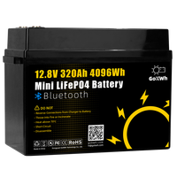 GoKWh Grade A LiFePO4 12V 320Ah 100Ah 200Ah 24V Solar Energy Storage LFP Outdoor Camping Car RV Boat 12.8V  Battery