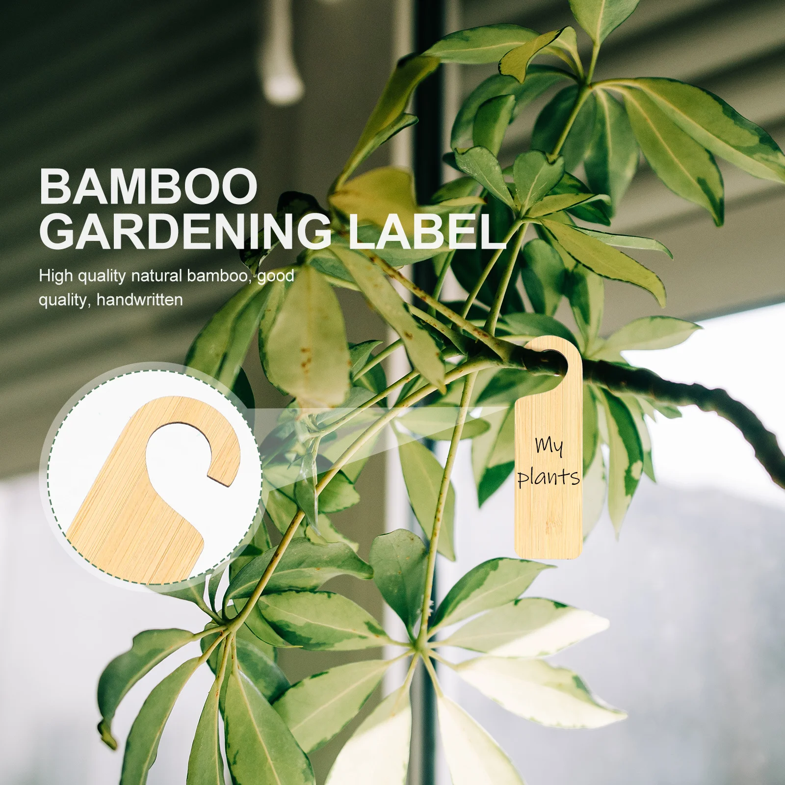 

20Pcs Bamboo Hanging Labels Scientific Design for Easy Plant Identification Bamboo Plant Tags Hanging Gardening Label