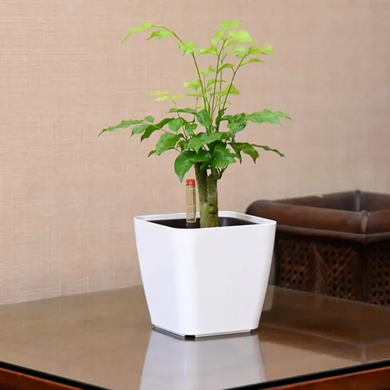 Plastic Self Watering Pot Modern Decorative Square Planter for Indoor Plants Flowers Herbs Home Garden Decoration