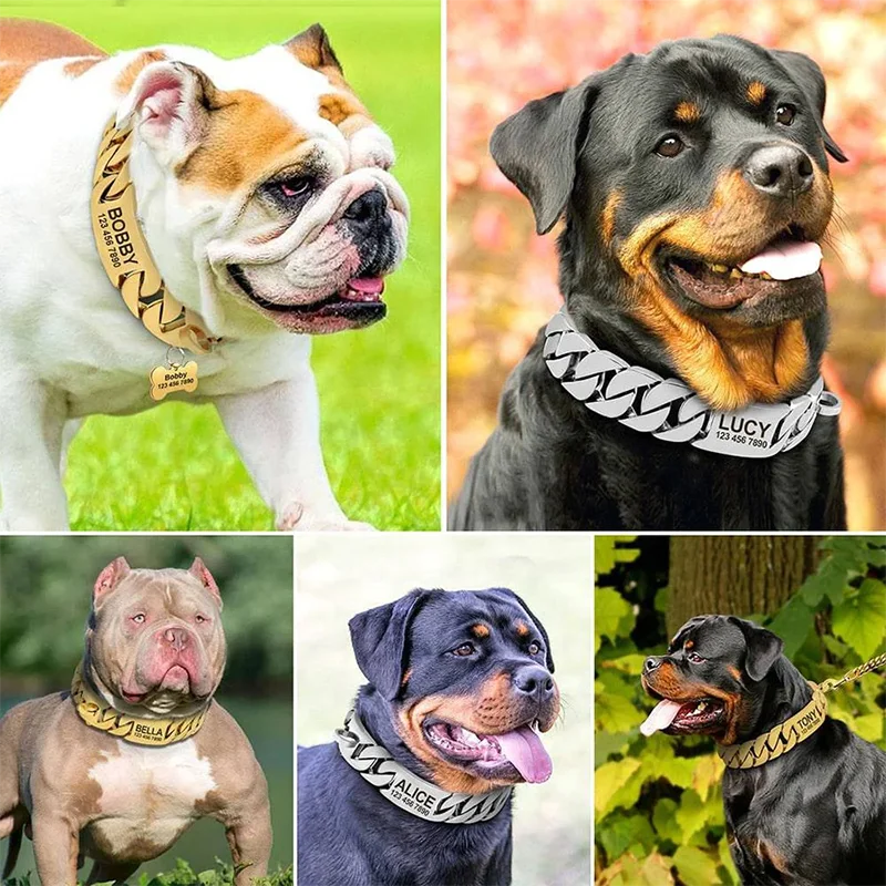 Personalized Dog Name Metal Gold Dog Chain Collars Stainless Steel Pet Training Choke Collar For Large Dogs Pitbull Collar