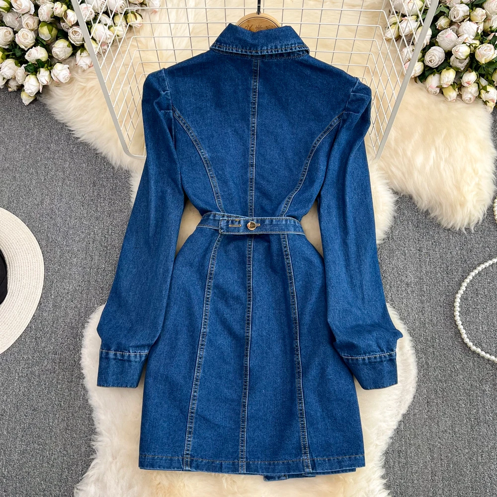 2023 Spring Autumn Korean Style Women Denim Dress Fashionable Long Sleeve Single Breasted Slim A-Line Mini Ladies Dress