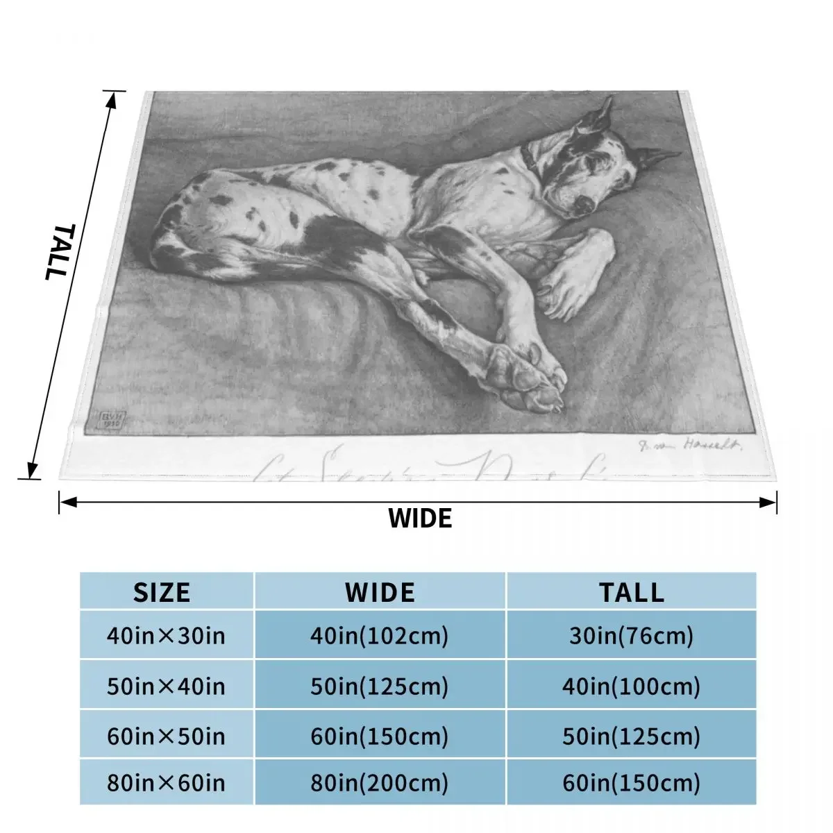 Great Dane pencil drawing circa 1930 Throw Blanket fluffy Sofa Quilt Decorative Sofa Summer Beddings Fashion Sofas Blankets