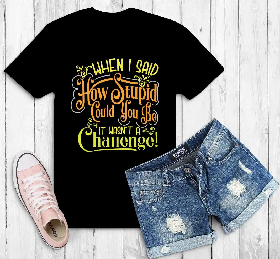 When I Said How Stupid Can You Be It Wasnt A Challenge T Shirt TH625