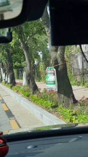 실물 포토 리뷰