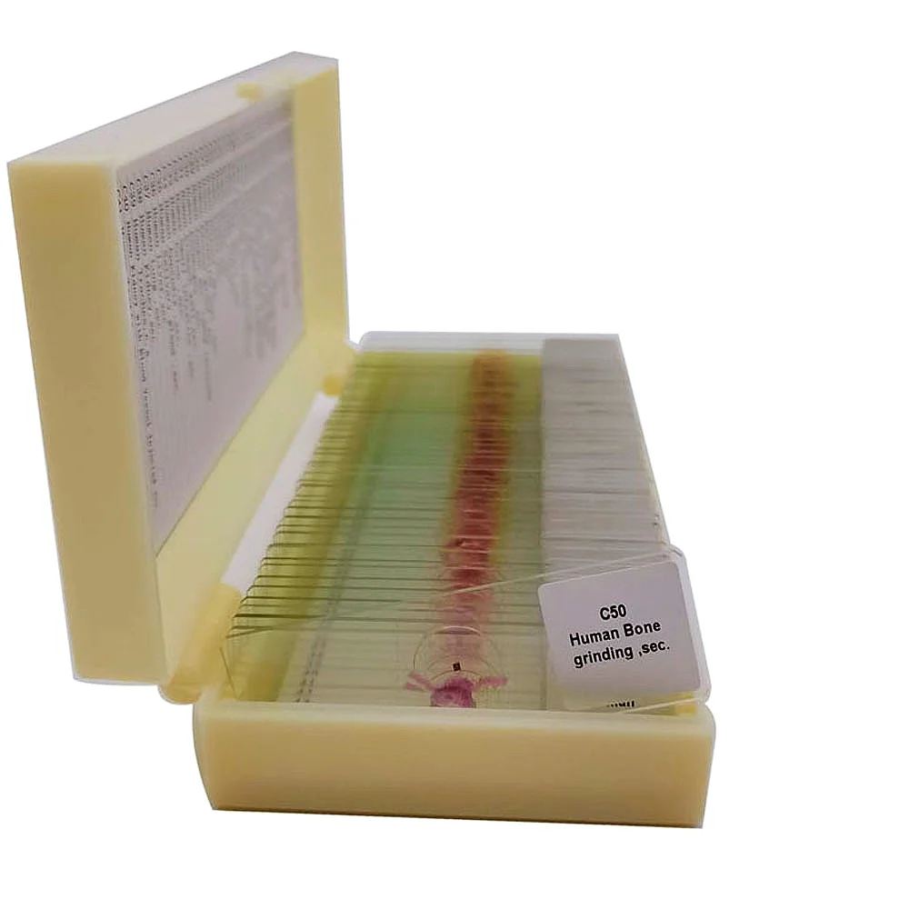 50 Pieces Teaching Histology Prepared Microscope Slides