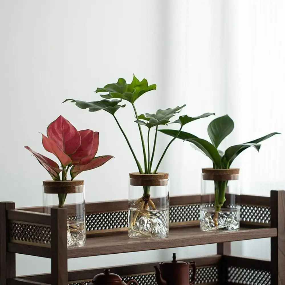 Flower Arrangement Bottle Glass Flower Vase Thickened Transparent Hydroponic Flower Holder Creative Mini Flower Pot Fish Tank