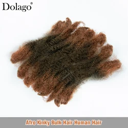 Afro Kinky Bulk Human Hair For Braiding Microlocs Human Hair Extensions 4C Curly Locks Hair Ombre Brown Color Crochet Braids