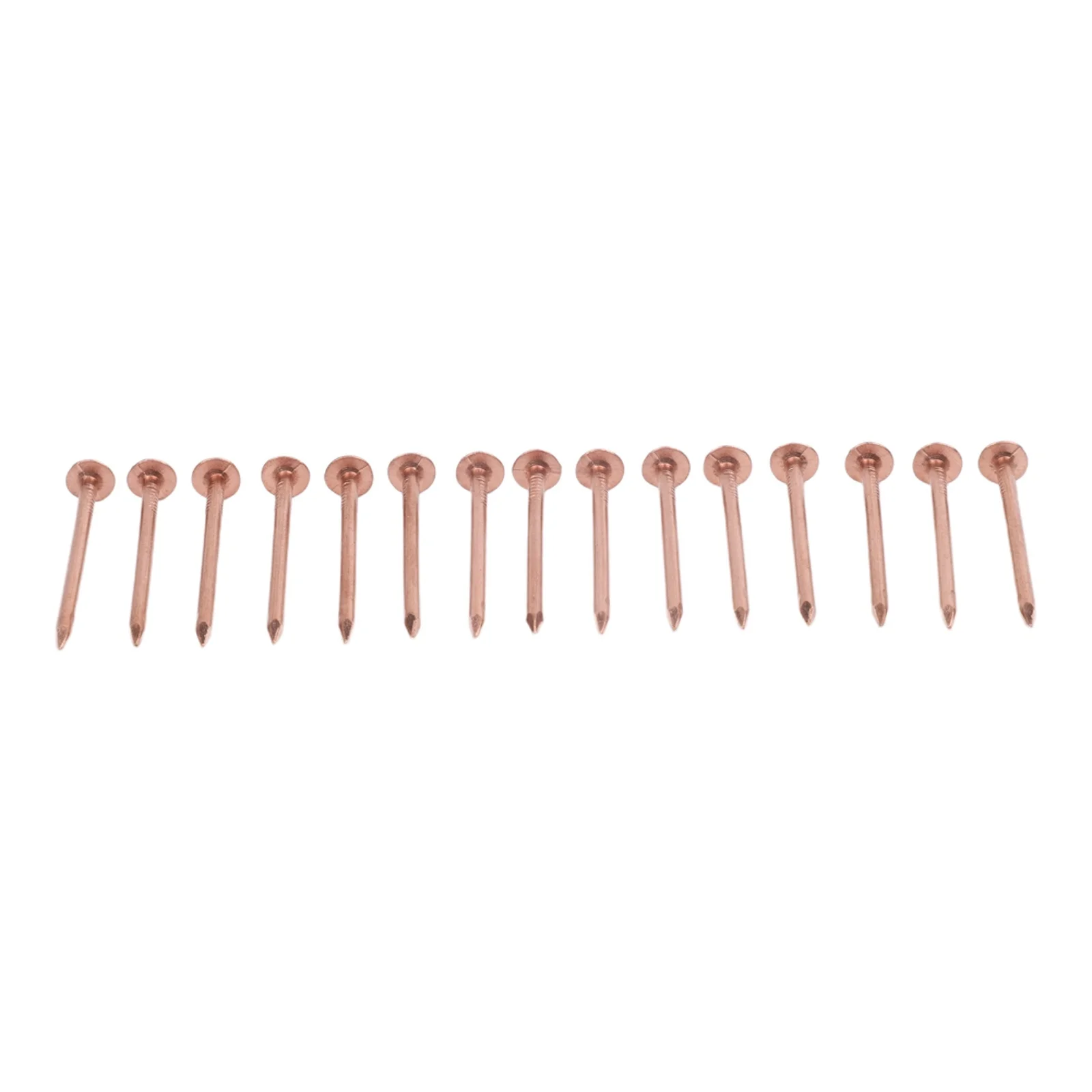 Gardening Solutions Copper Nails Effective Tree Management Fast Acting Solution Gardening Application Large Size Nails