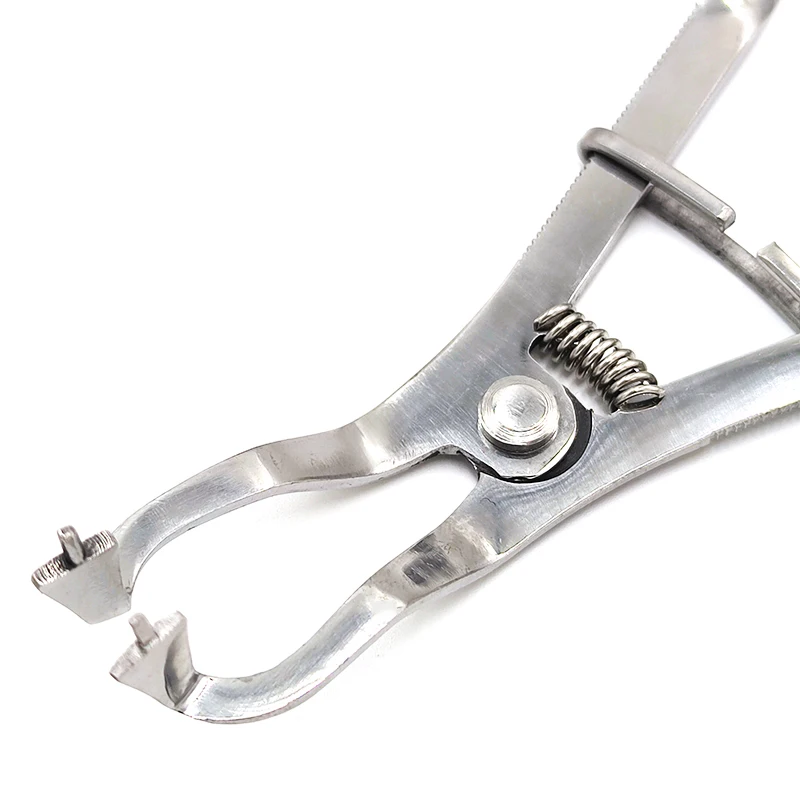 Dental Band Forming Clip Forceps Rubber Dam Clamps Ivory Clamp Forceps Dental Restorative Instruments