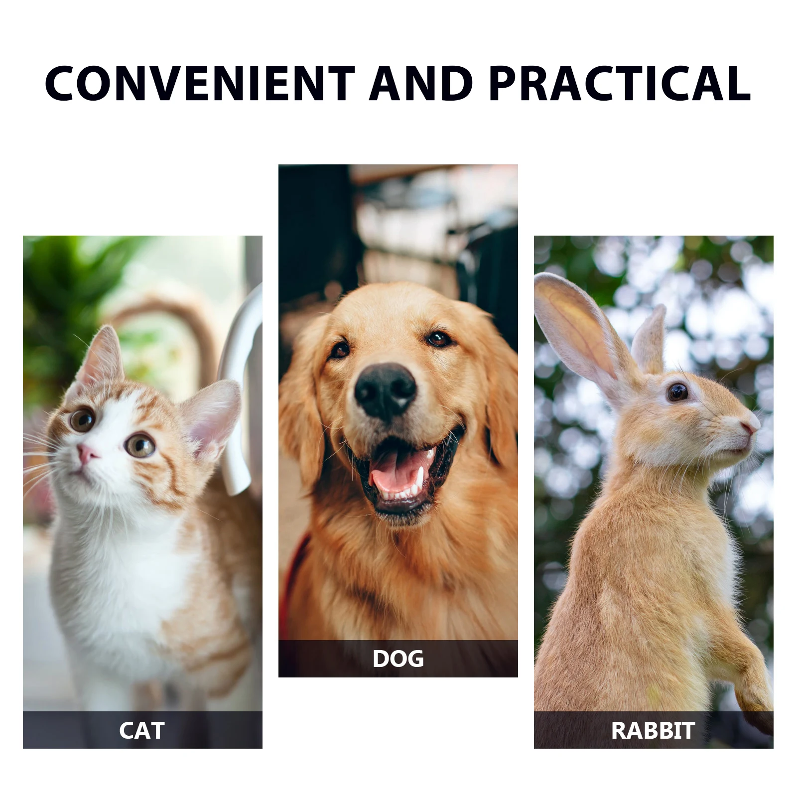 

Pet Protective Case Small for Dogs Tracker Collar Air Tag Holder Tag. Neck Fitness