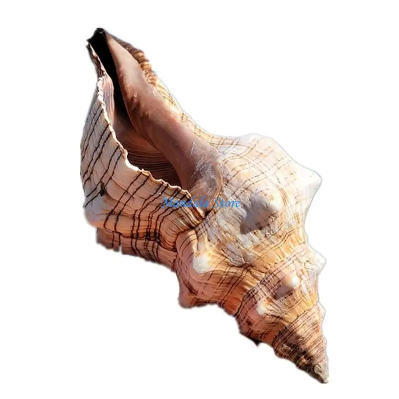 U2JC Aquarium Decorations Spinning Snail Horn Conch Thematic Ornament Fish for Tank Hideout Accessories for Betta