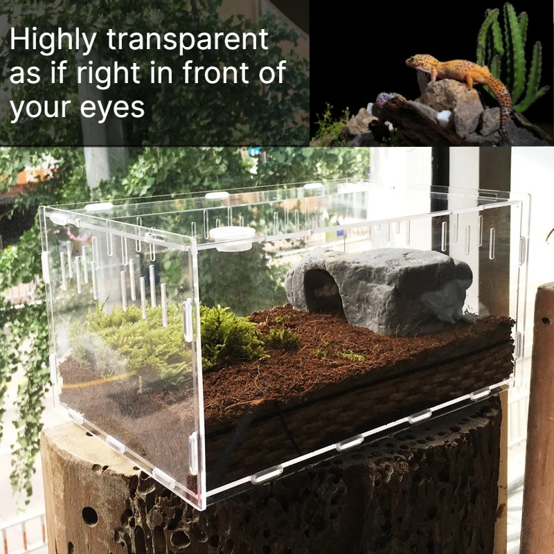 Acrylic Transparent Reptile Breeding Box Arboreal Terrarium For Spider Lizard Scorpion Feeding Cage