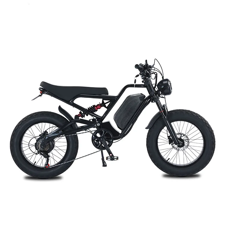 

SXLL 20 Inch Adult Mountain Electric Bike Brushless Motor 750W 48v Lithium Battery 7 Speed Full Suspension Disc Brakes High Spee