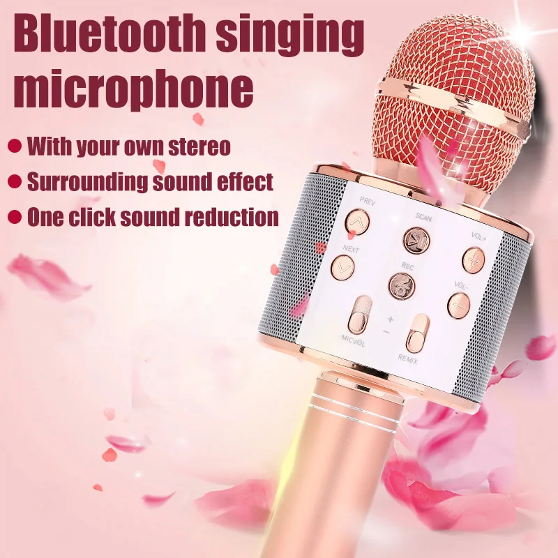 WS858 Professional Handheld Wireless Karaoke Microphone USB Speaker Microphone for Kids Music Player Singing Recorder KTV