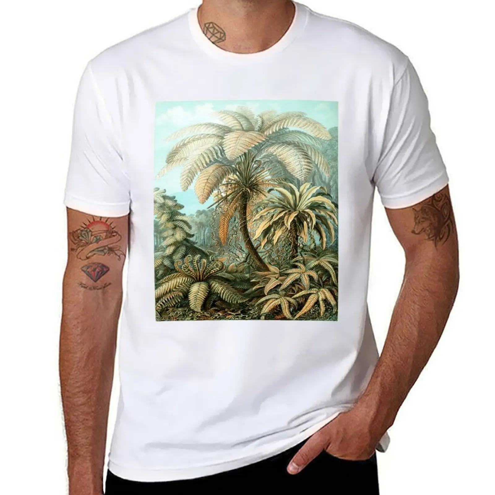 

Haeckel Filicinae 92 Drawing T-Shirt printed t shirts for man anime t shirts for man T-Shirt