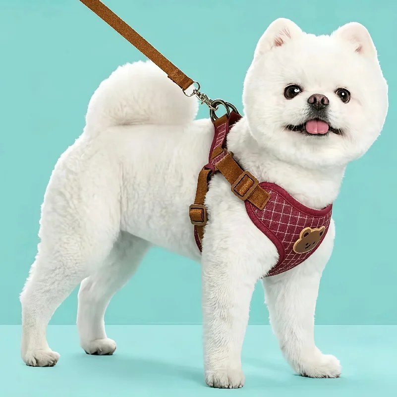 Pet Harness Lead Leash Set For Small Medium Dog Cat Vest Chest Strap Puppy Chihuahua Breathable Harness Dog Walking Pet Supplies - view 6