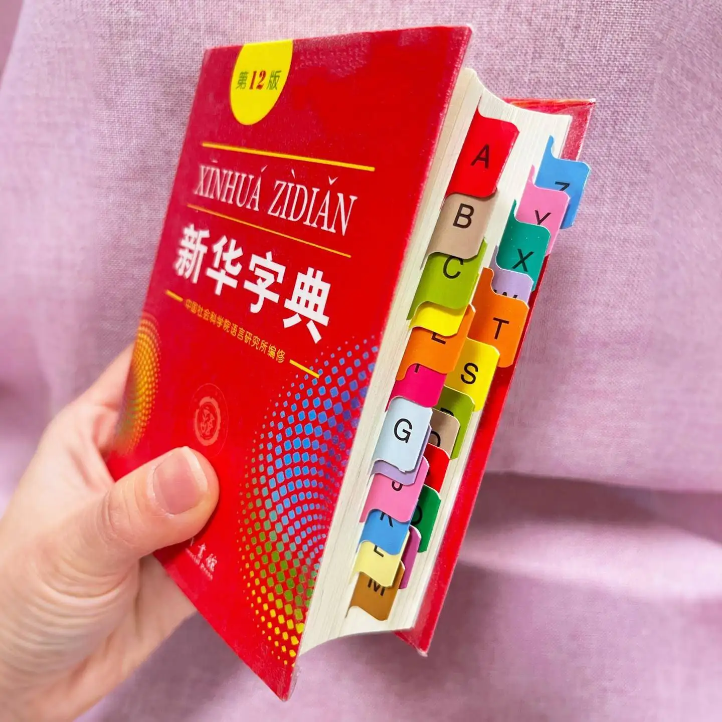 adesivi-con-indici-alfabetici-per-studenti-di-asilo-e-scuola-primaria-dizionario-xihua-per-l'apprendimento-della-scrittura-e-la-classificazione