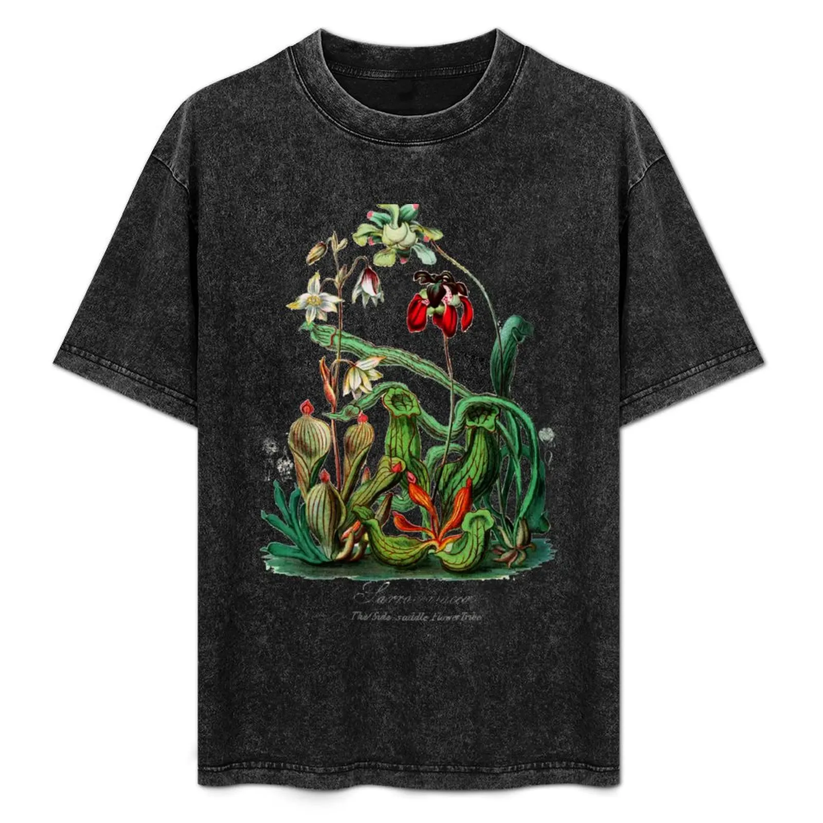 Camiseta botánica vintage con diseño de plantas carnívoras Sarracenia, camiseta con diseño gráfico simple