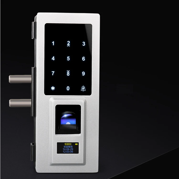 Remote Control Fingerprint Glass Door Magnetic Lock With Cards And Password
