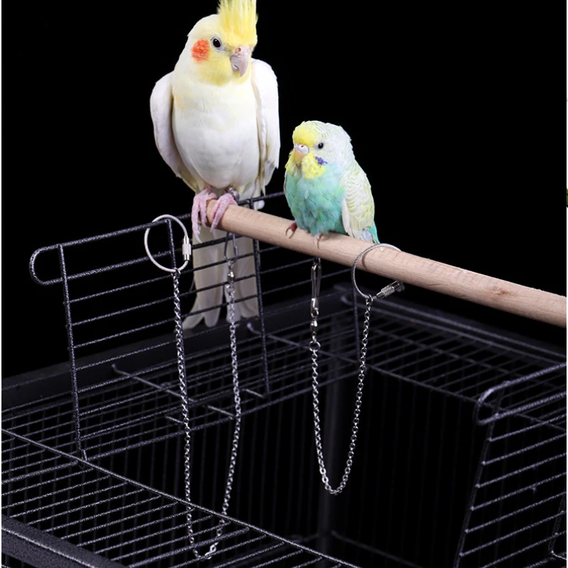 Bird Foot Chain Flying Stainless Steel Training Rope Outdoor Parrot Foot Ring Accessories Parrot Harness Leash Prevent Escaping