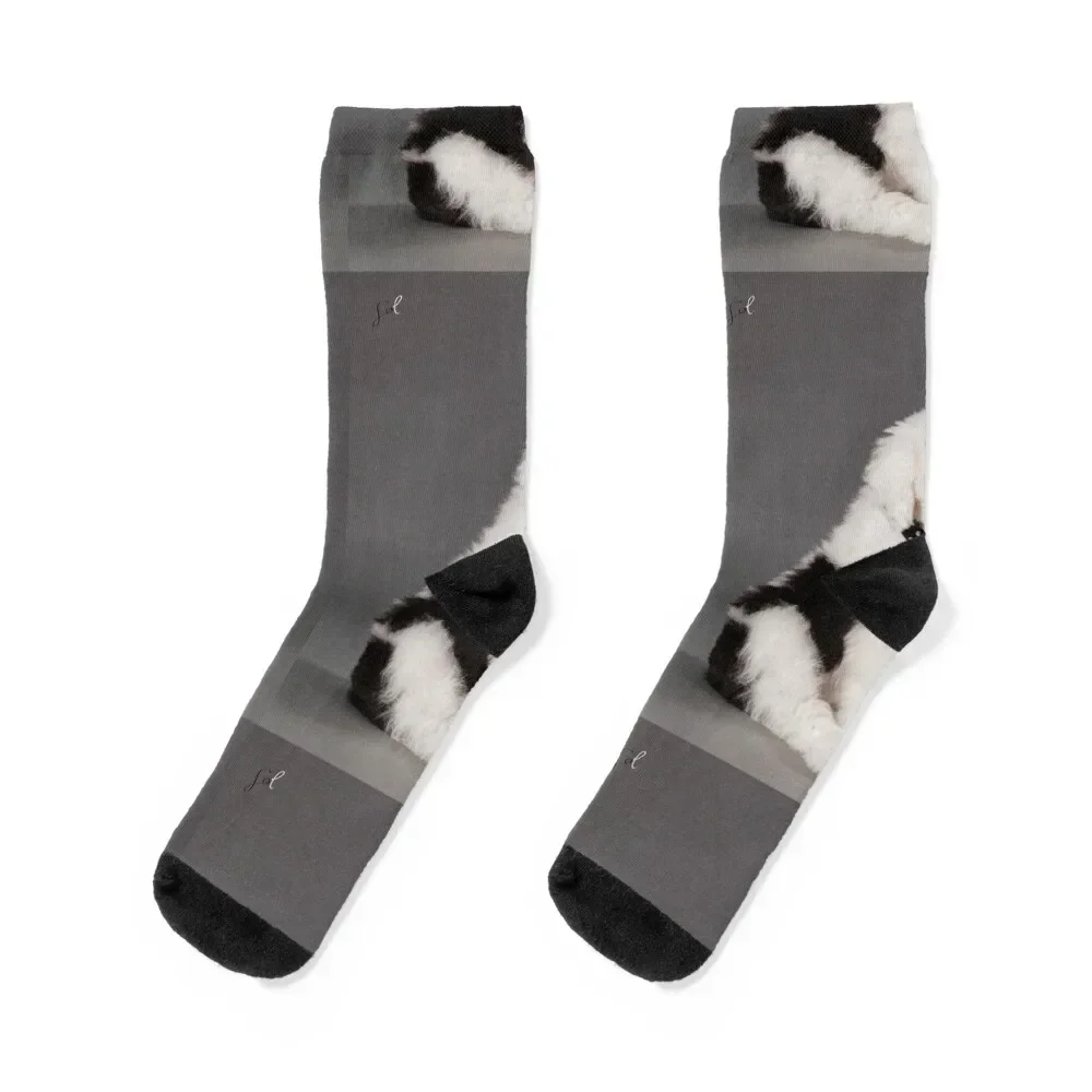 

Old English Sheepdog Socks cycling retro sports and leisure Socks Women Men's