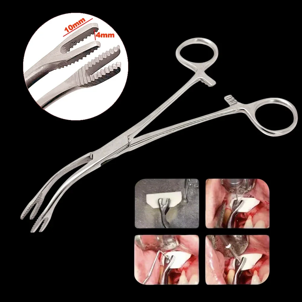 

1 Pcs Dental Bone Graft Holding Forcep Bone Fragment Gripper Surgical Plier Implant Surgery Tools