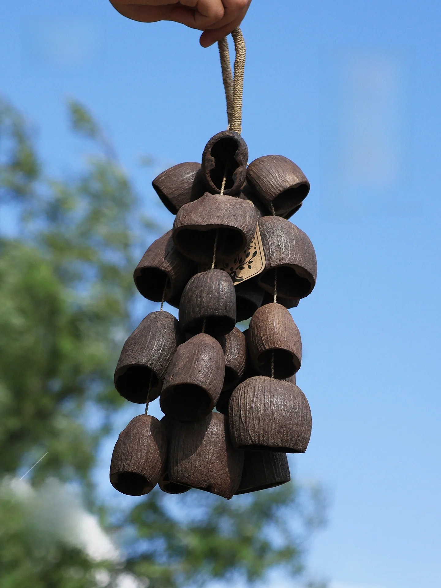 Handmade Copper Seed Water Bell Plant Original Meditation Indonesian Black Fruit Plant Hanging Decoration Sound Therapy