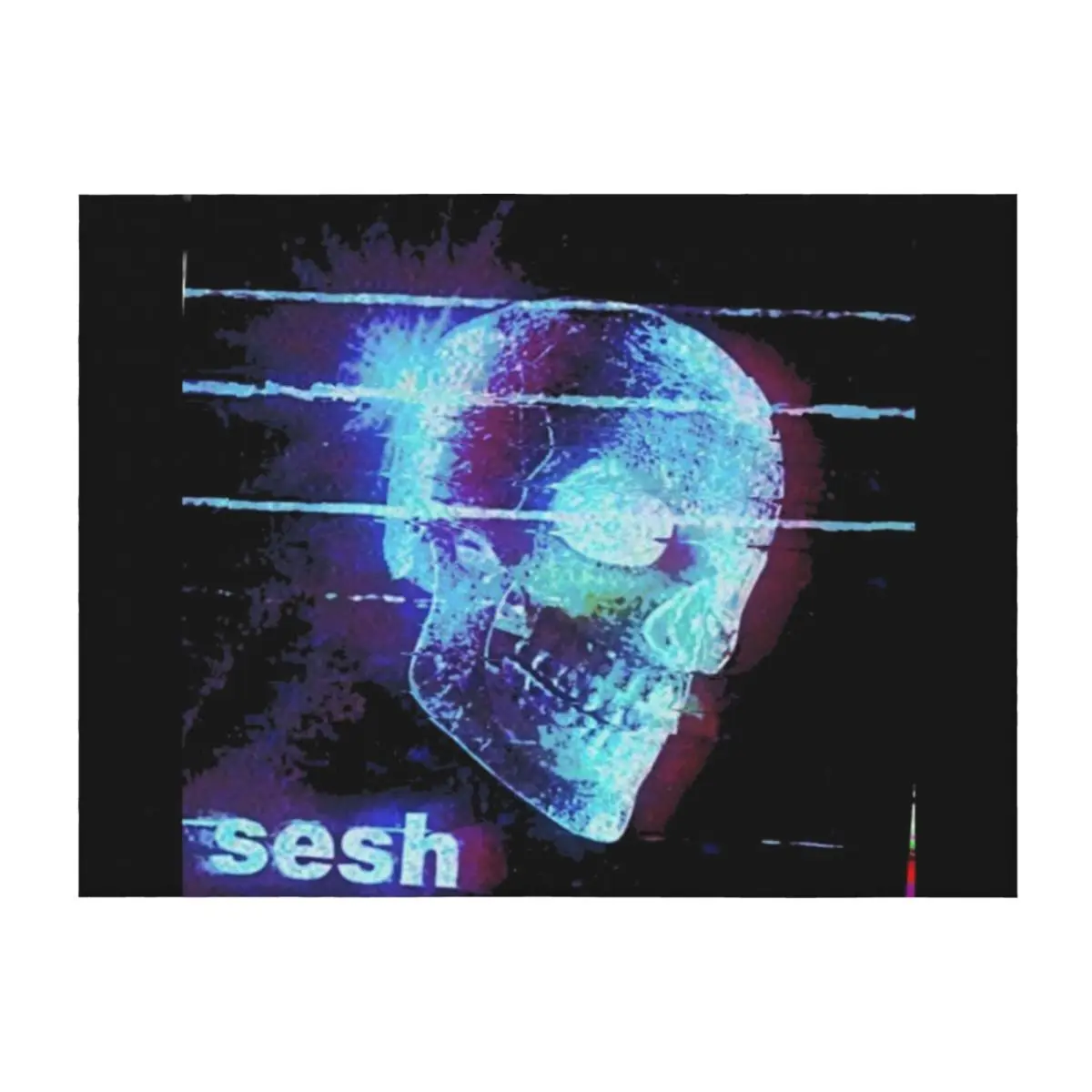 

SESHSKULL BLUE Throw Blanket Picnic for babies Baby Heavy Blankets