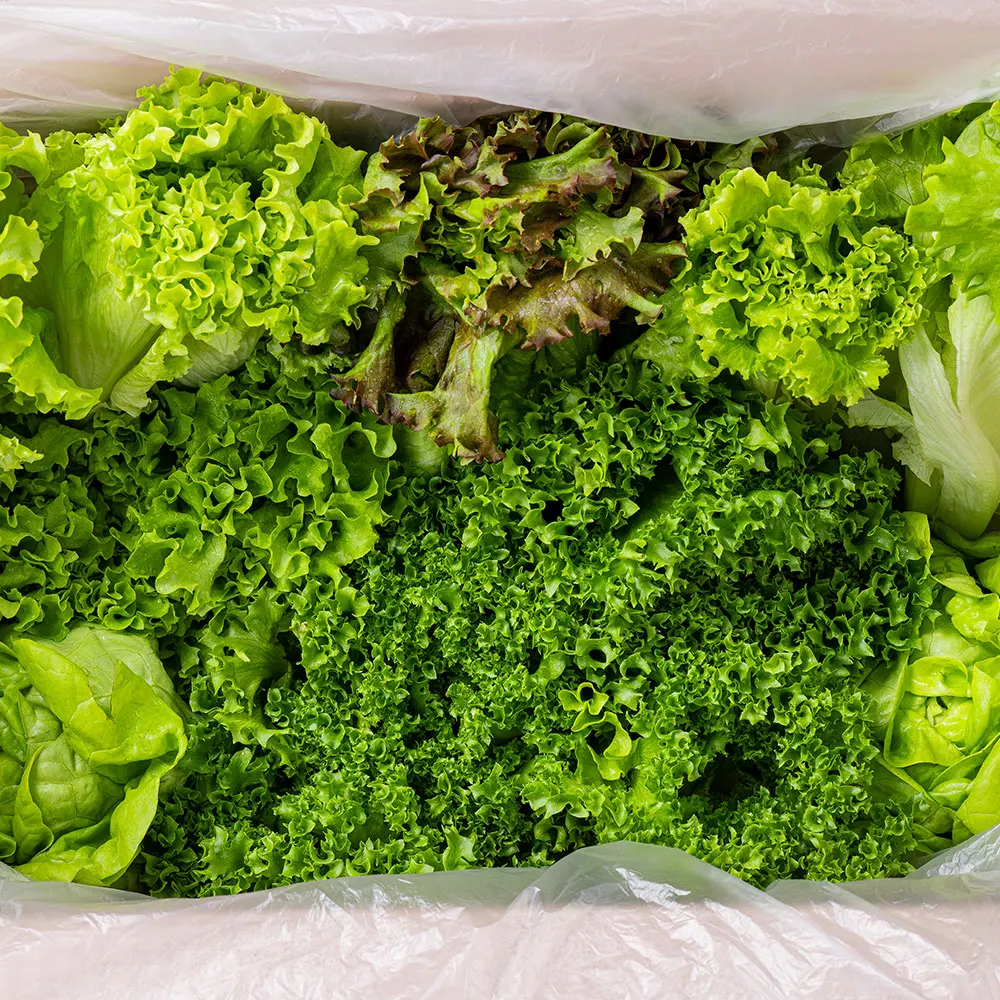 مزيج سلطة أوروبية معتمدة من الفجوة 5-6 أنواع 1 كجم 2 كجم