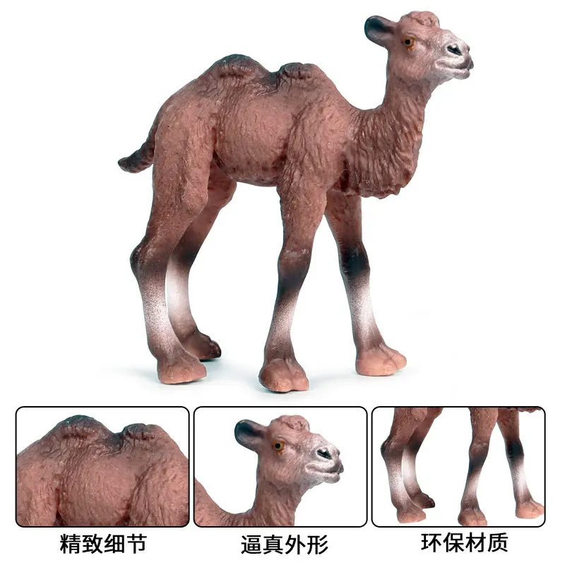 Children's cognition solid simulation Wildlife World desert camel Mongolian camel hand-made model toy decoration