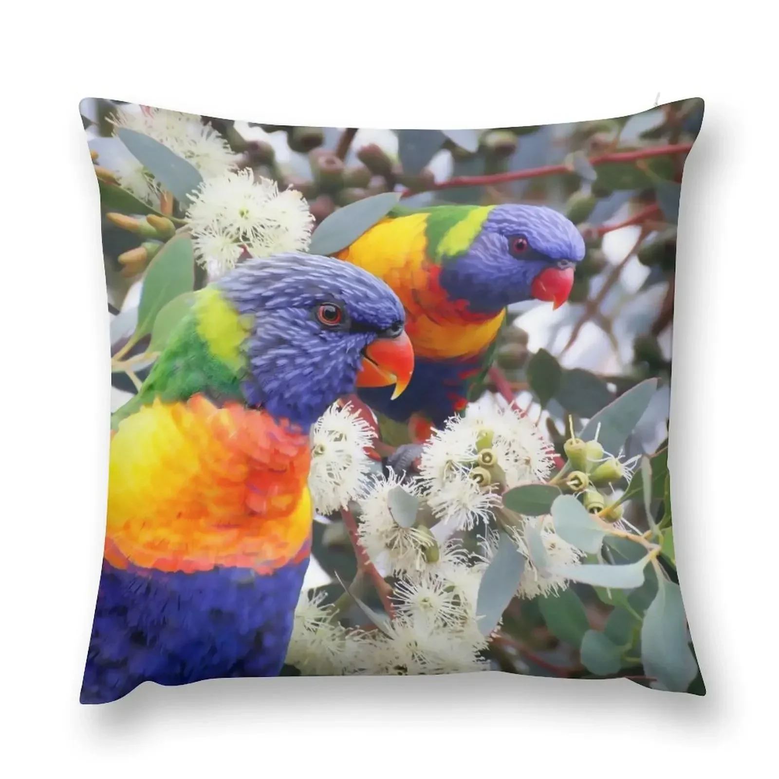 

Rainbow Lorikeet Love, Australian Birds, Bright and Colorful Birds with personality and sparkle Throw Pillow anime girl pillow