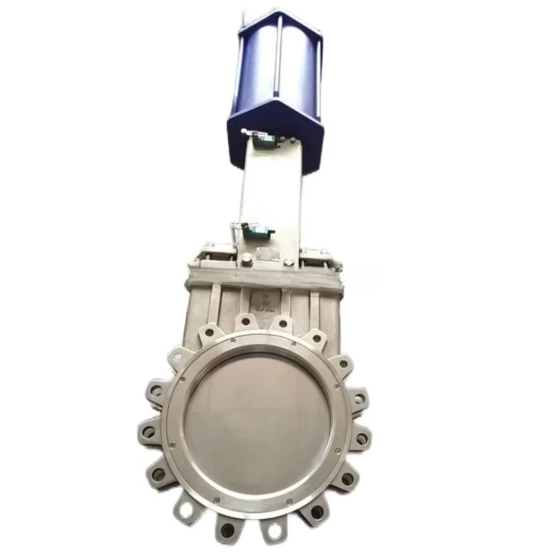 DN250 DN300 Flanged Knife Gate Valve Stainless Steel Non-Rising Stem Gate Valve
