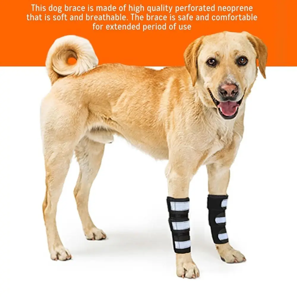 1PC Lightweight PC Strips Dog Front Leg Brace Adjustable Straps Reflective Strips Knee Brace Breathable Non-Slip ACL Support