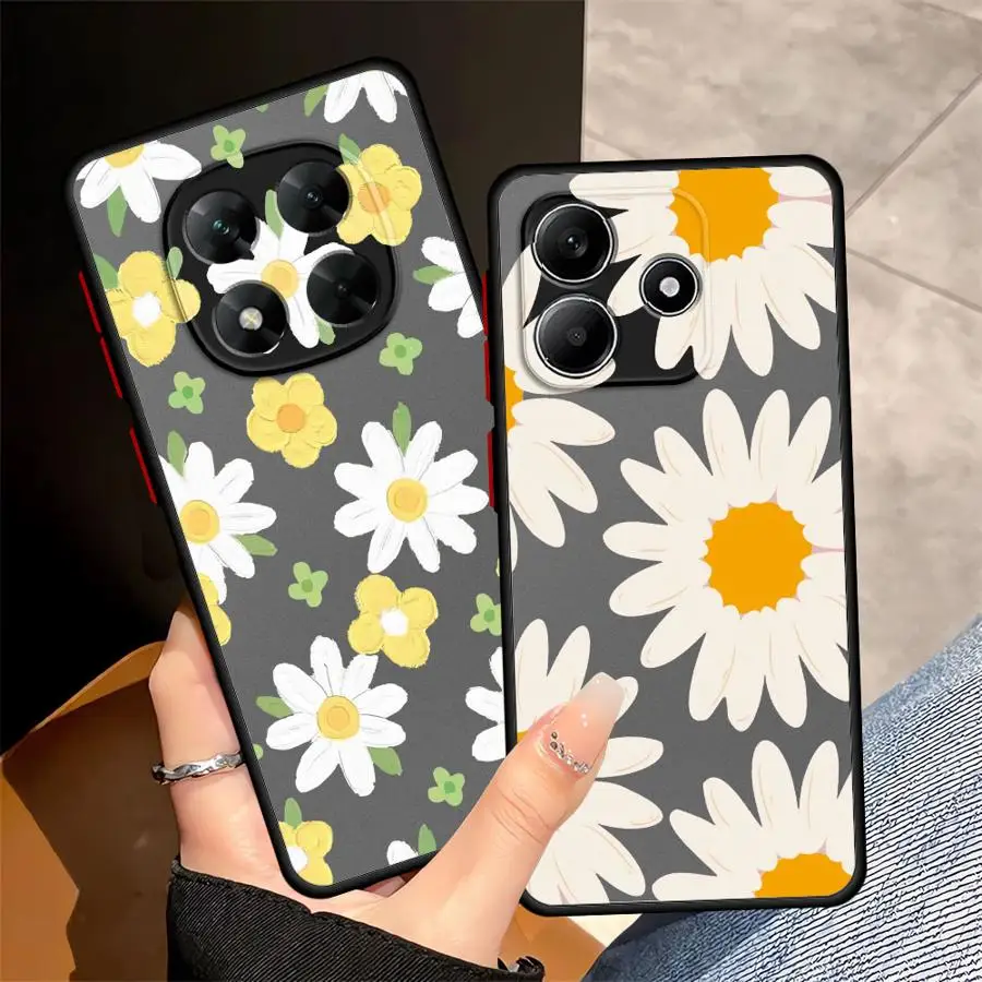 Chrysanthemum Flowe… - image