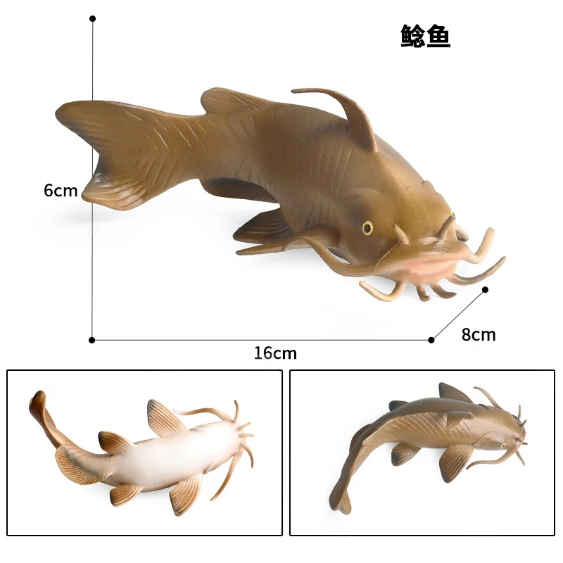 Children\'s Simulation Animal Model Toy Solid Static Ornaments Catfish Pond Lice Pregnant Fish Beards Catfishs Freshwaters Fishs