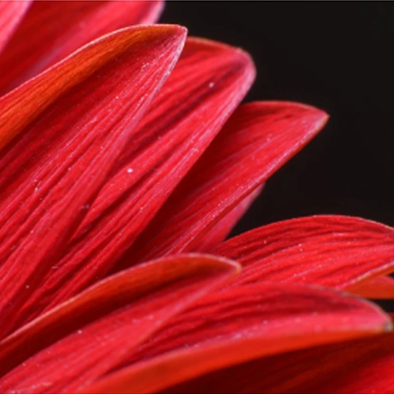 

JX Servo PS-5513MG 13KG High Precision Steering Metal Gear Analog Standard Servo For 1:8/1:10 RC Car Airplane Parts